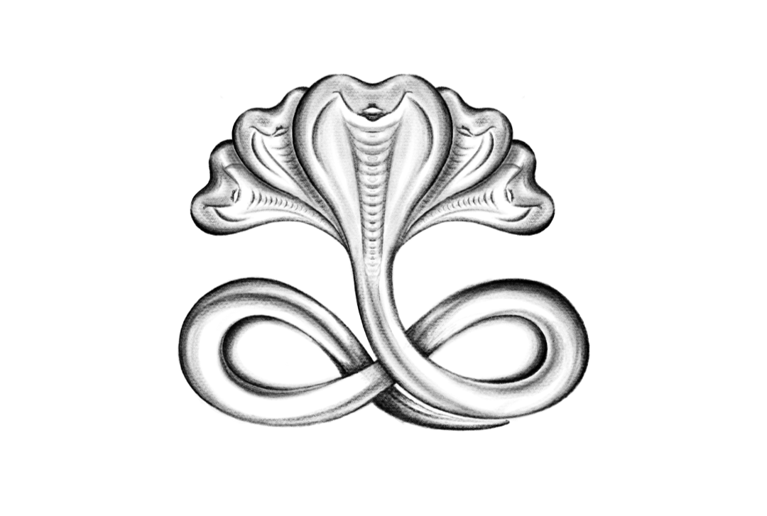 Vasukay